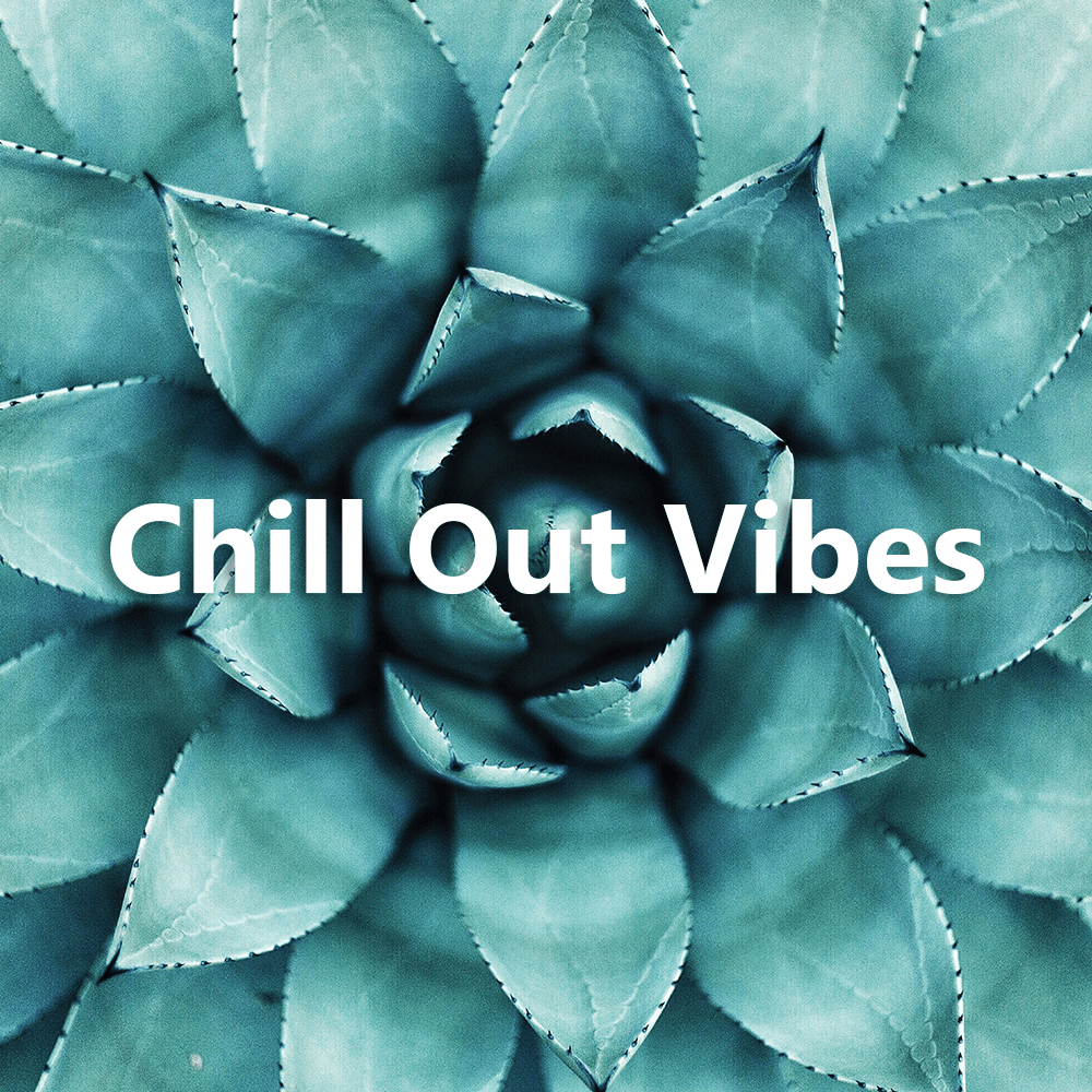Playlist Chill Out Vibes